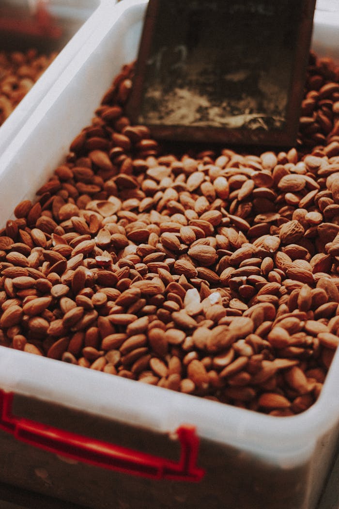 A detailed view of raw almonds stored in a clear plastic container.